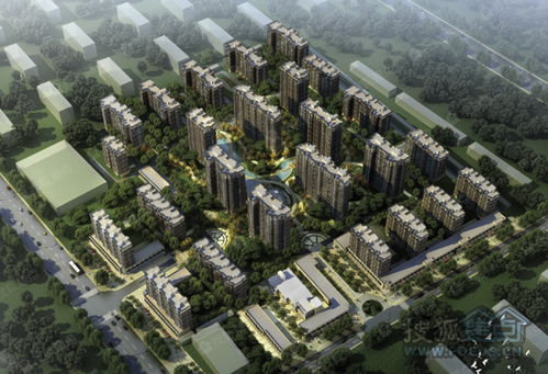 麗景金城圖片 樣板間 裝修效果圖